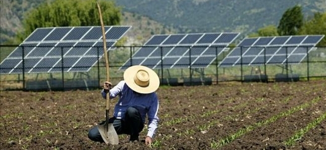 como-a-energia-solar-favorece-o-agronegocio